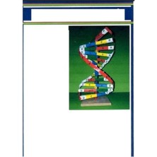 Artline Dna Model Yapım Seti - 4 Adet