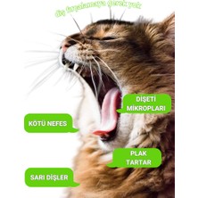 Greenwich Vegan Bitkisel İçerikli Kedi Köpek Diş Temizleme Islak Hijyenik Parmak Mendil 50 Adet
