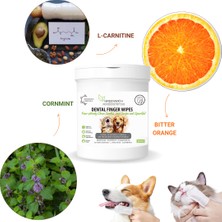 Greenwich Vegan Bitkisel İçerikli Kedi Köpek Diş Temizleme Islak Hijyenik Parmak Mendil 50 Adet