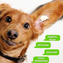 Greenwich Göz Kulak Temizleme Parmak Mendil Tahriş Giderici Hijyenik Islak Mendil Kedi Köpek Vegan Bitkisel Içerikli 50 Adet