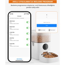 Greenwich Otomatik Mama Kabı | 4 L | Wıfı | Akıllı | Kedi Köpek