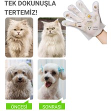 Greenwich Eldiven Mendil 20 Adet | Yüz Göz Kulak Ağız Pati Arka Bölge Temizliği | Kedi Köpek