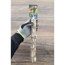 Vixpet Venty 30 cm Doğal Büyük Papağan Tüneği | Macaw, Kakadu, Jako, Amazon, Eklektus, Alexander Gibi Türler İçin İdealdir - T224