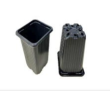 Polatoğlu Tarım 50 Adet Kare Saksı, Ebat 8X8X9, Vakum Saksı, Üretim Saksısı