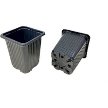 2500 Adet Kare Saksı, Ebat 8X8X9, Vakum Saksı, Üretim Saksısı