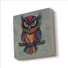 Baykuş Baskılı Taş Magnet 5x5