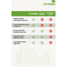 Evrase Mısır Unu 1 kg