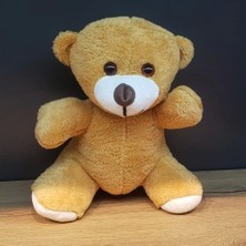 Ett Kahverengi Peluş Oyuncak Ayı