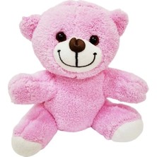 Ett Sevimli Peluş Pembe Ayıcık
