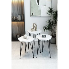 3'lü Sekizgen Zigon Sehpa ve Dikdörtgen Orta Sehpa Takımı Modern Siyah Metal Ayaklı Salon Sehpa Seti
