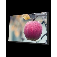 Dalda Elma Cam Tablo Apple