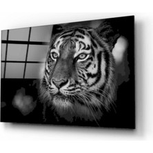 Aslan Cam Tablo