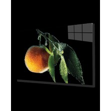 Miraaxx Şeftali Cam Tablo Peaches