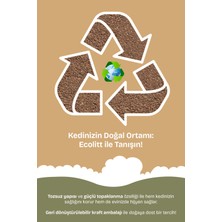 Ecolitt Kraft Pakette Tozsuz ve Topaklanan Kahverengi Bentonit Natura Kedi Kumu 2x8 kg