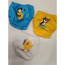 Story Alıştırma Bezi 1-2-3 Numara