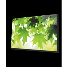 Yeşil Yapraklar Cam Tablo   Green Leaves