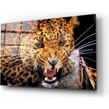 Leopar Cam Tablo