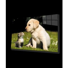 Kedi Köpek Cam Tablo