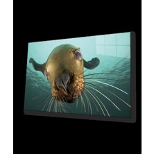 Denizaslanı Cam Tablo Underwater Sea Lion