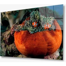 Turuncu Balıklar Cam Tablo Orange