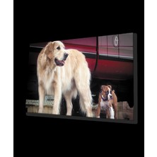 Köpek Cam Tablo