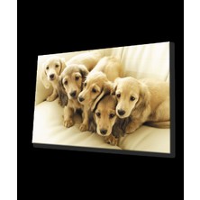 Köpekler Cam Tablo