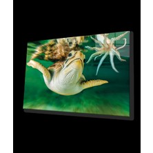 Sualtı Cam Tablo Marine Life