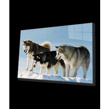 Kurt Köpeği Cam Tablo