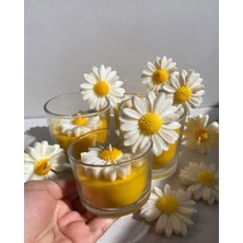 Papatya Modeli Kokulu Bardak Mum