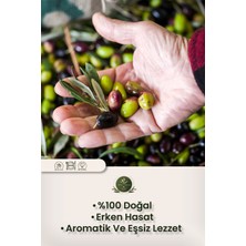 Erken Hasat Naturel Sızma Zeytinyağı - 750 ml - Terra Edessa Yüksek Kaliteli Zeytinyağı
