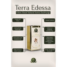 Terra Edessa Erken Hasat Natürel Sızma Zeytinyağı - 5 Litre - Mezopotamya'nın Bereketli Lezzeti