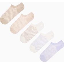 Penti 3 Çift Pamuklu Çizgili Desenli Sneaker Çorap