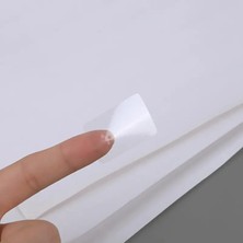Zuidid 1000 Adet - 30 mm x 20 mm Pp Şeffaf Etiket - Ağız Kapatma Etiketi (Dikdörtgen)