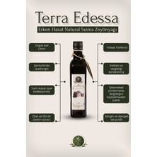 Terra Edessa Erken Hasat Naturel Sızma Zeytinyağı - 500 ml - Mezopotamya'nın Bereketli Lezzeti