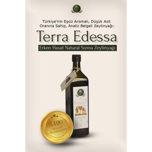 Erken Hasat Naturel Sızma Zeytinyağı - 1 Lt - Terra Edessa High Quality Olive Oil