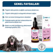 OneVet Biotin Damla 50 ml Kedi ve Köpekler İçin Deri ve Tüy Desteği Vitamin Desteği