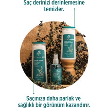 Okaliptüs ve Çay Ağacı Bitki Özlü 3'lü Saç Bakım Seti - Tüm Saç Tipleri Için Bakım Seti