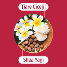 Tiare Çiceği ve Shea Yağı Özlü Bukle Belirginleştirici Saç Bakım Şampuanı - Dalgalı ve Kıvırcık Saçlar Için Şampuan 400 ml