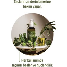 Zeytinyağı ve Argan Yağı Özlü Besleyici Saç Bakım Yağı - Tüm Saç Tipleri Için Serum ve Yağ 150 ml