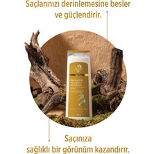 Isırgan Otu ve Ginseng Özlü Besleyici & Koruyucu Şampuan - Zayıf ve Dökülen Saçlar Için Şampuan 400 ml