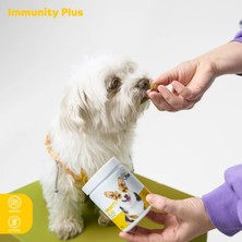Dr. Paw Immunity Malt Paste: Kediler İçin Glutensiz ve Şekersiz (100 gr)