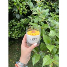 Hora Candle Atelier Ay Çiçeği/papatya Mum