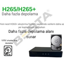 Arna 4 Dış Kameralı 2 Mp Hareket Algılamalı H.265 250 GB HDD Dahil Ahd Güvenlik Seti- ST24250M