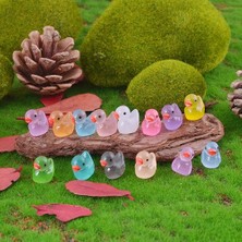 NTS Karanlıkta Parlayan Fosforlu Mini Ördek Seti Teraryum Çiçek Altlığı Akvaryum Süsü Şirin Ördekler