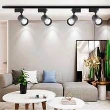 4'lü Ray Spot ve 1mt. Ray ((Gün Işığı)