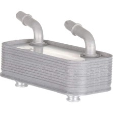 Bmw 3 Serisi E46 325I Yağ Soğutucusu