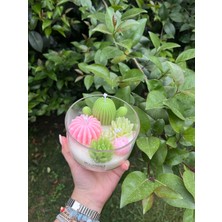 Hora Candle Atelier Skulent Mum