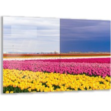 Exela Home Doğa Manzaralı Cam Tablo - Anadolu - Yatay Motif 03-020