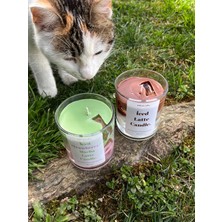 Hora Candle Atelier Çilekli Macha Latte Mum