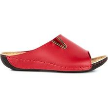 Muya Dion Anatomik Topuk Dikeni Kadın Terlik Bordo